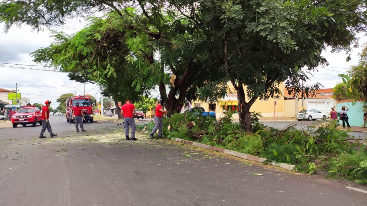 Foto 4 de 10 — Container cai de caminhão após bater em árvore no Vale do Sol